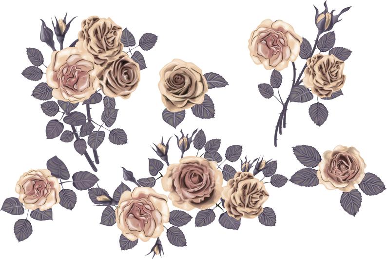794x531 Vintage Roses Vector Set Rose Clipart Valentines Scrapbook Etsy