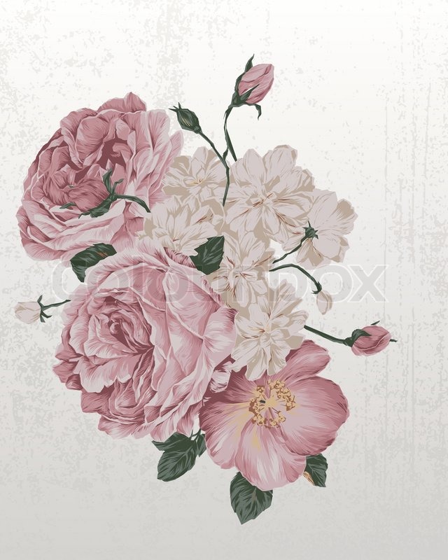 640x800 Illustration Of Vintage Old Roses Stock Vector Colourbox