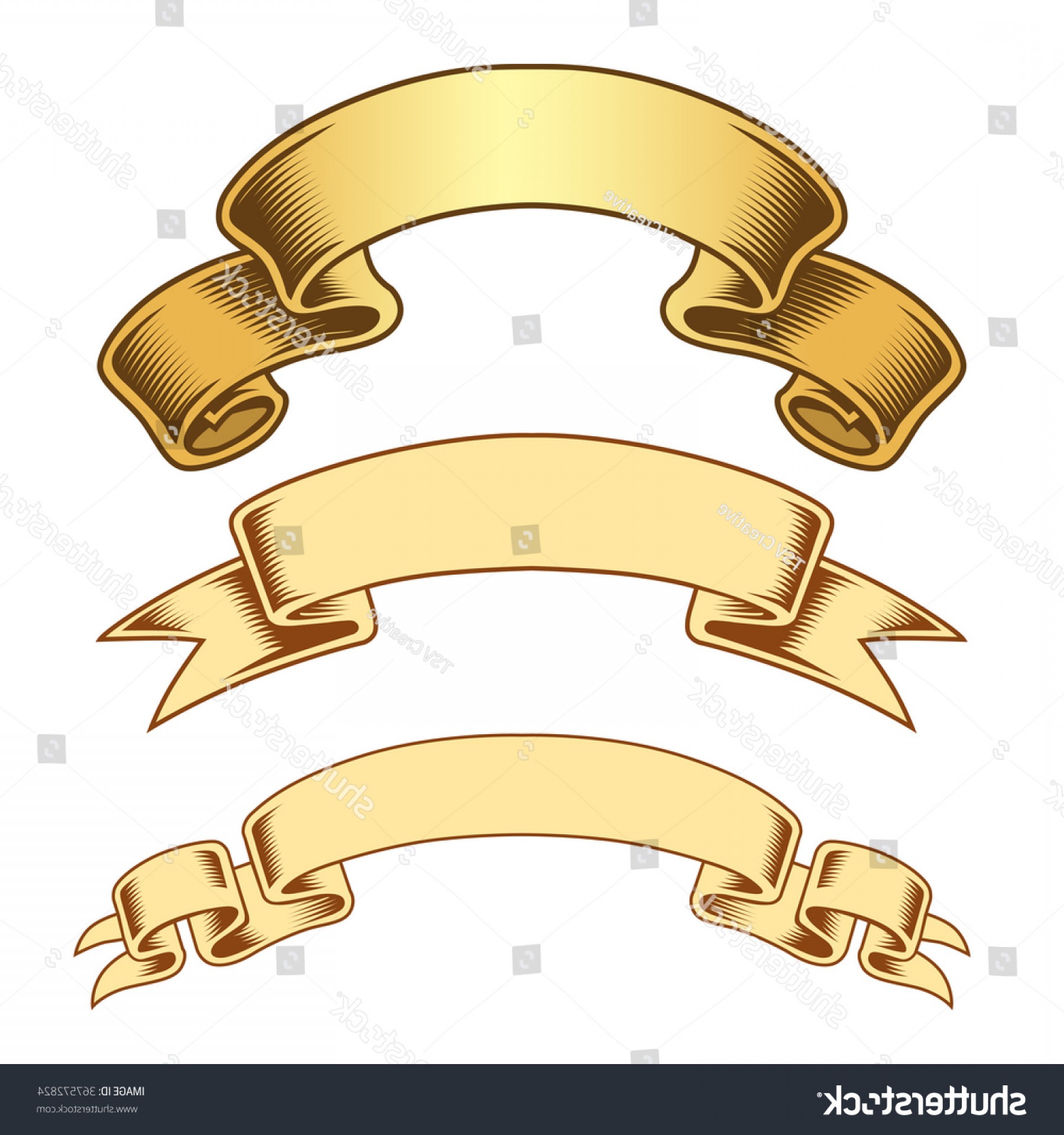 1800x1920 Vintage Scroll Engraved Banner Vector Soidergi