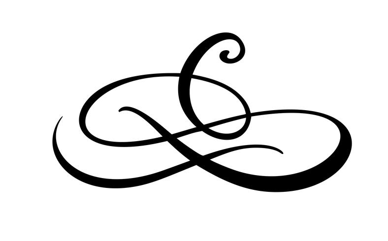 788x490 Vintage Swirl Calligraphic Flourish, Vector Divider Ornament
