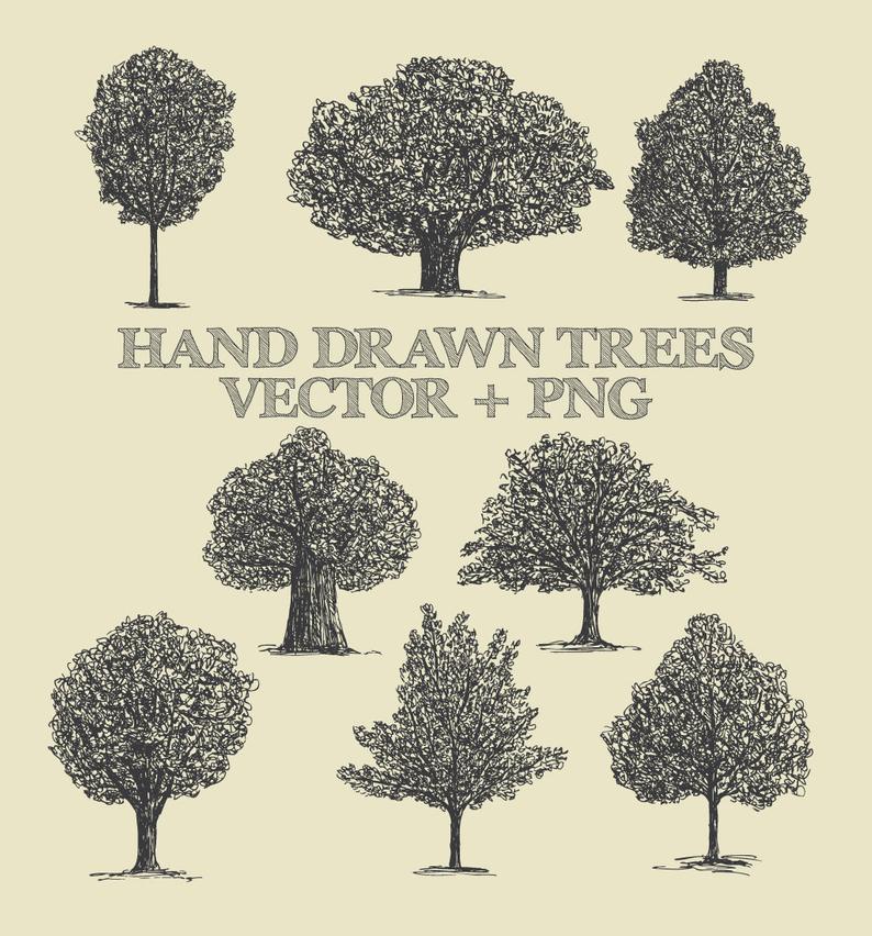794x852 Tree Clipart Vector Pack Vintage Hand Drawn Tree Drawing Etsy