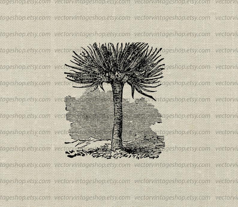 794x691 Dragon Tree Vector Instant Download Clip Art Graphic Clipart Etsy