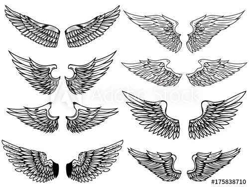 500x375 Set Of Vintage Wings Illustrations Isolated On White Background