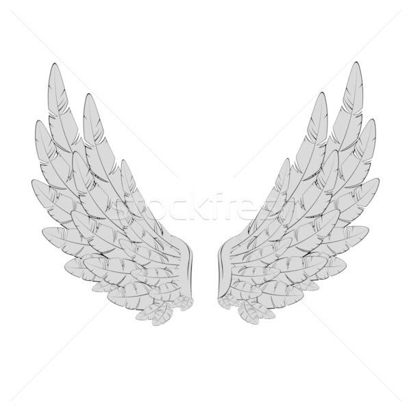 600x600 Vector Vintage Wings Vector Illustration Ramona Kaulitzki