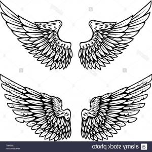 300x300 Vintage Wings Isolated On White Background Design Vector