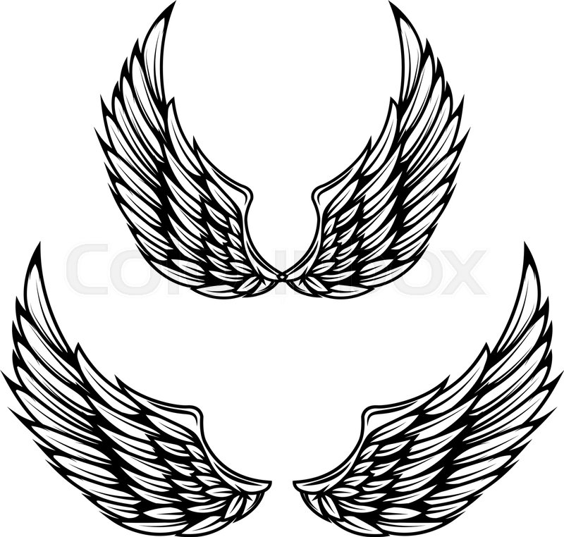 800x762 Vintage Wings Isolated On White Stock Vector Colourbox