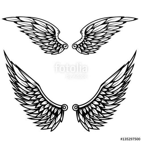 500x500 Vintage Wings Isolated On White Background Stock Image