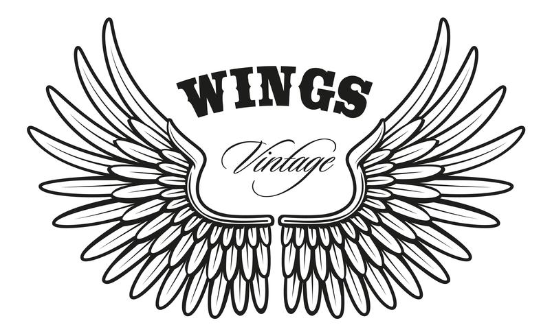 803x490 Vintage Wings