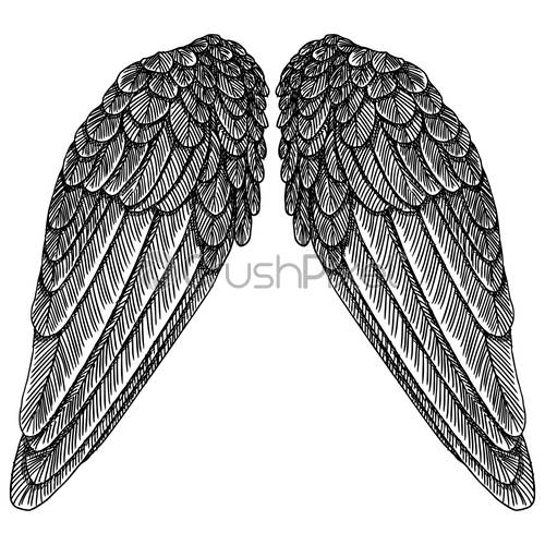 500x500 Hand Drawn Vintage Wings Pair Etched Woodcut Vintage Style Pair