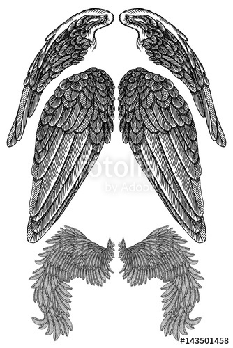 Vintage Wings Vector at Vectorified.com | Collection of Vintage Wings ...