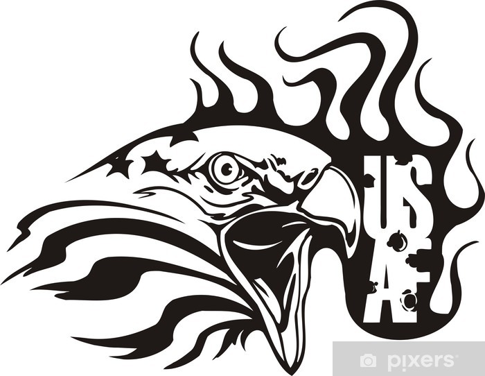 700x542 Us Air Force