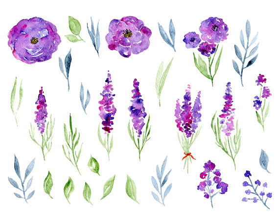 570x452 Watercolor Floral Clipart Purple Violet Flowers Aquarelle