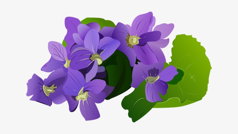 820x461 Watercolor Purple Flowers Vector Clipart