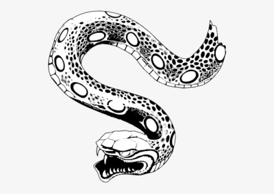 400x284 Free Png Images