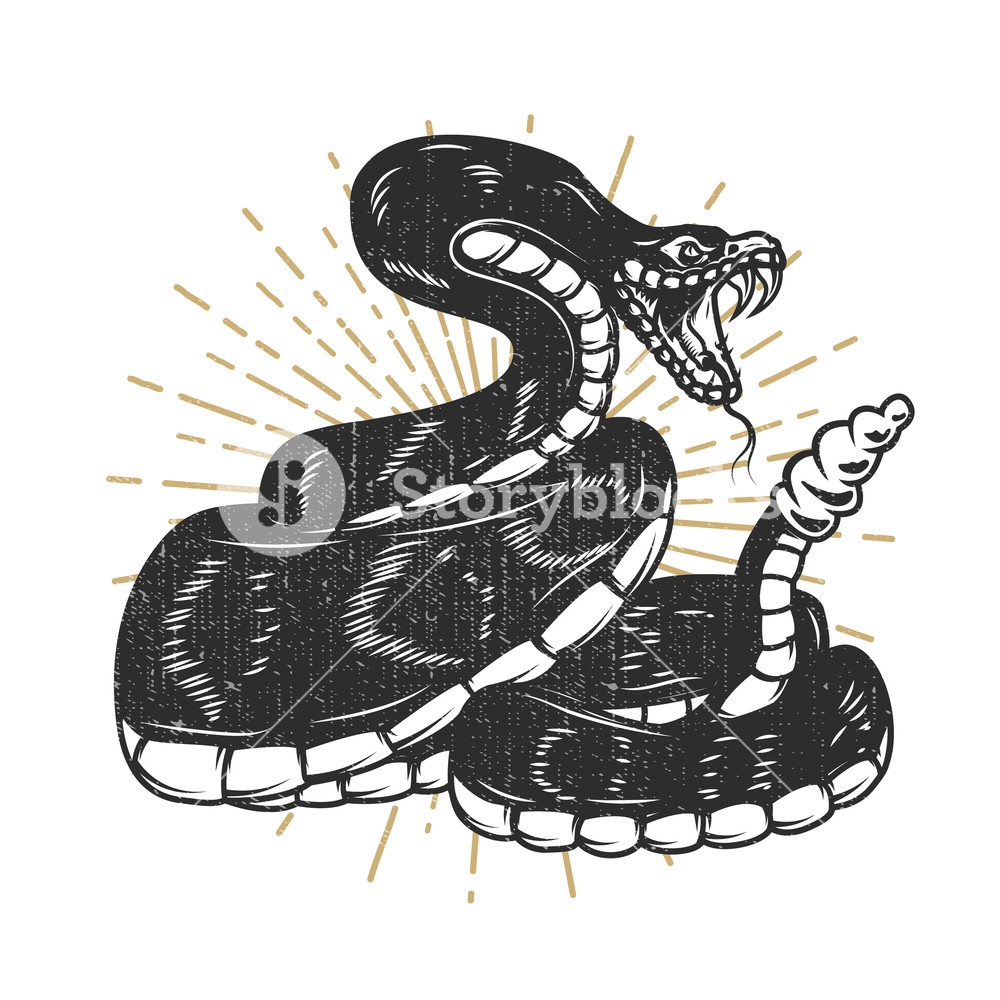 1000x1000 Viper Snake Illustration Design Element For Emblem, Sign, Poster