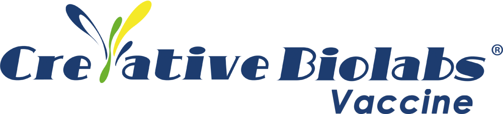 1000x228 Viral Vector Vaccine Design