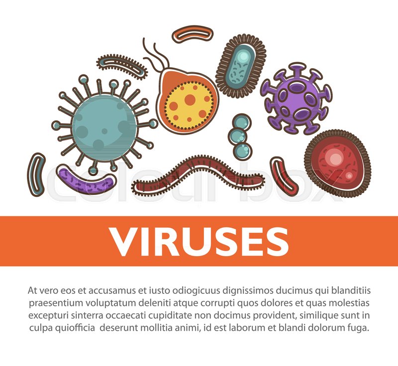 800x736 Viruses Medical Poster For Viral And Stock Vector Colourbox
