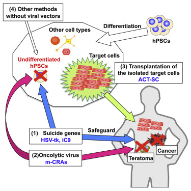 375x375 Viral Vector Based Innovative Approaches To Directly Abolishing
