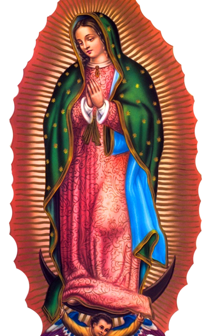 Virgen De Guadalupe Vector at Vectorified.com | Collection of Virgen De