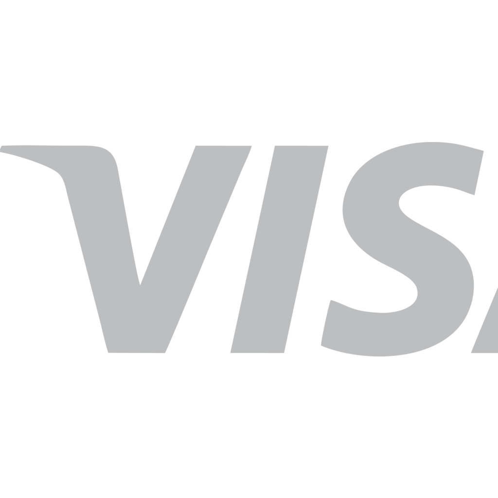 1024x1024 White Visa Logo