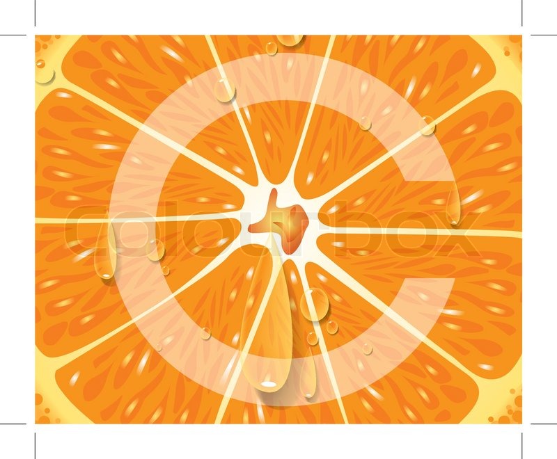 800x660 Orange High Vitamin C Vector Stock Vector Colourbox