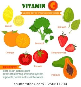 260x280 Vitamins And Minerals Foods Illustrator Set Set