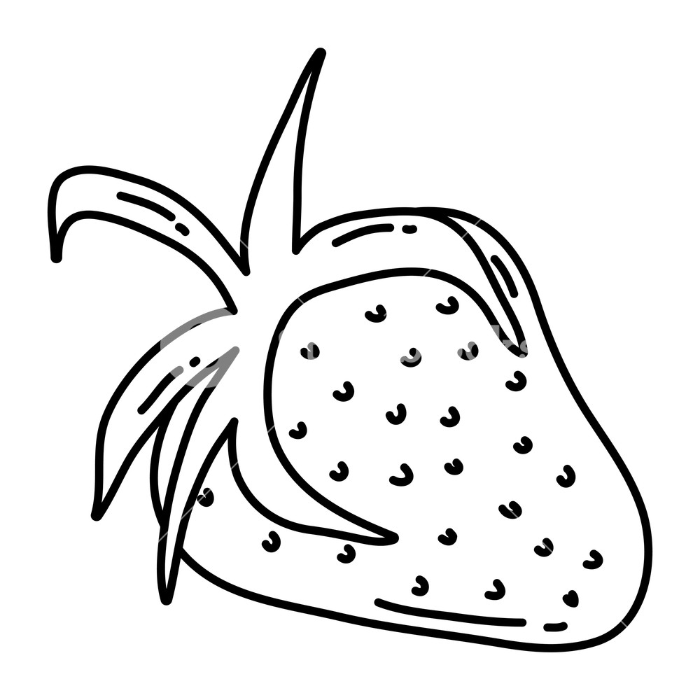 1000x1000 Line Delicious Strawberry Fruit Organic Vitamin Vector