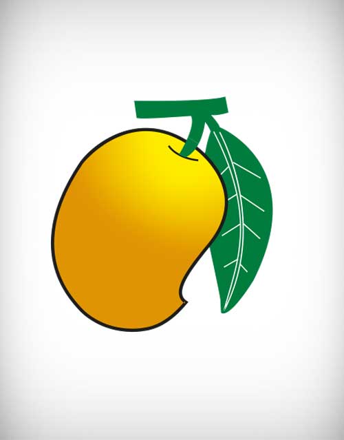500x639 Mango Vector