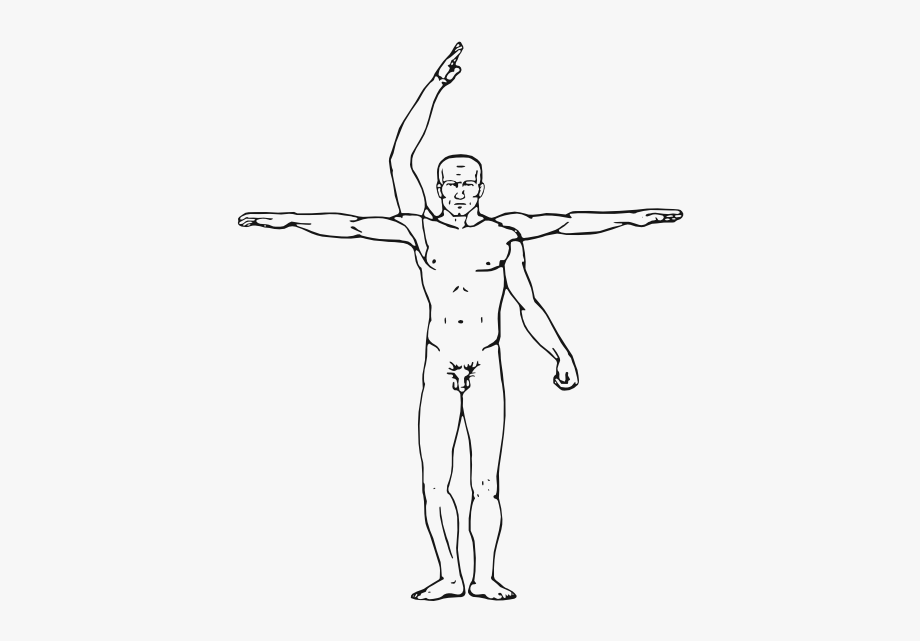 Vitruvian Man Vector