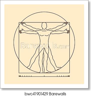 362x382 Leonardo Da Vinci Vitruvian Man Vector Illustration, Art Print
