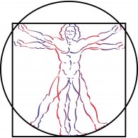 195x195 Vitruvian Man Brands Of The Download Vector Logos