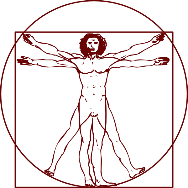 600x600 Vitruvian Man Clipart