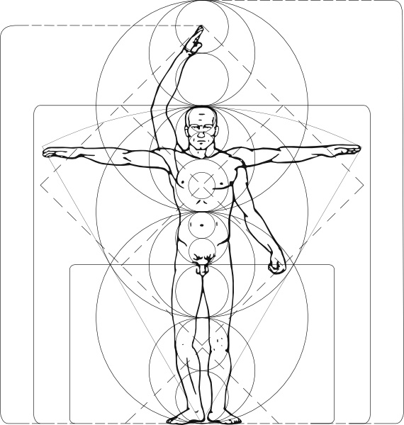 570x600 Vitruvian Man Clip Art Free Vector In Open Office Drawing
