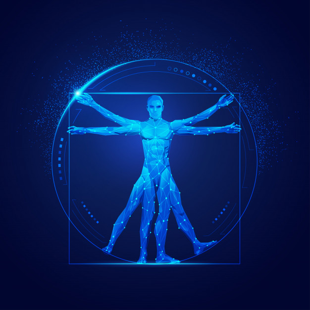 626x626 Vitruvian Man Vector Premium Download