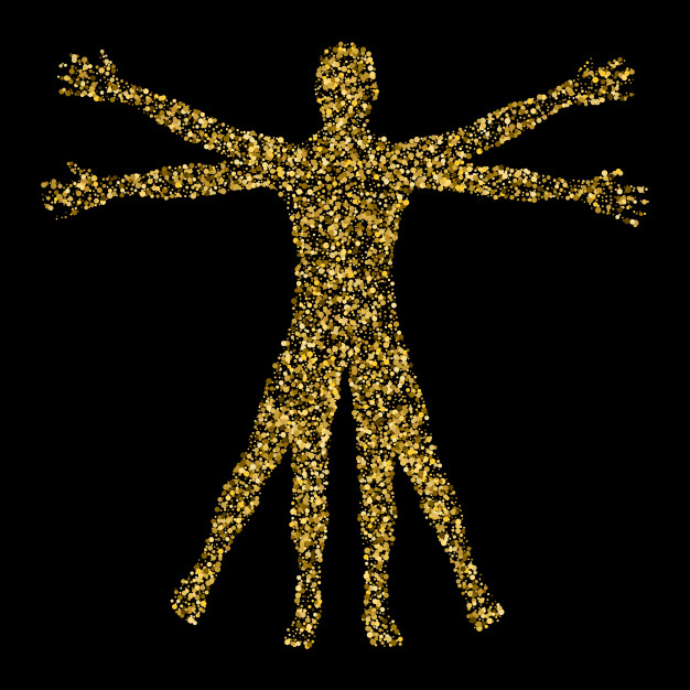 626x626 Vitruvian Man Vector Premium Download