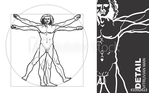 500x313 Vitruvian Man