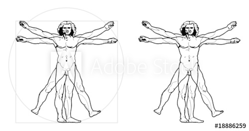 500x263 Leonardo's Vitruvian Man