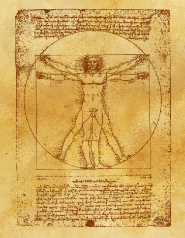 364x469 Leonardo's Vitruvian Man In Gtgt Vector Ltlt Format! Leonardo Da Vinci