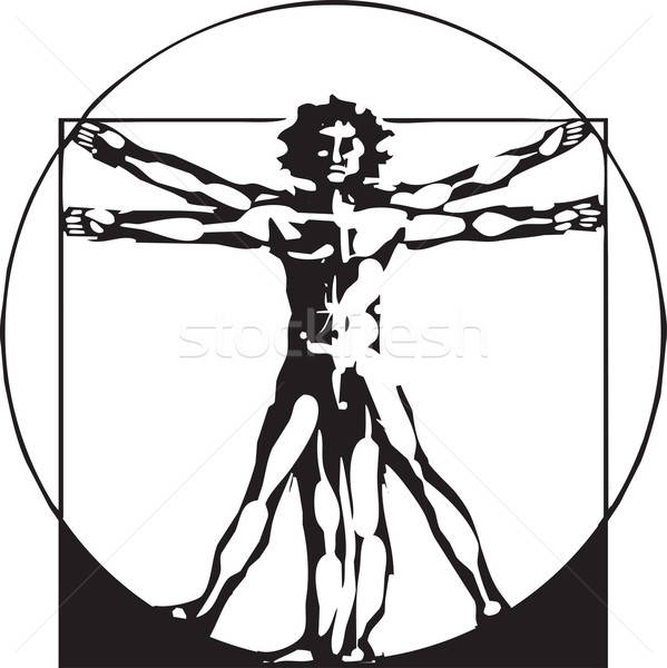 599x600 Da Vinci Vitruvian Man Vector Illustration Jeffrey Thompson