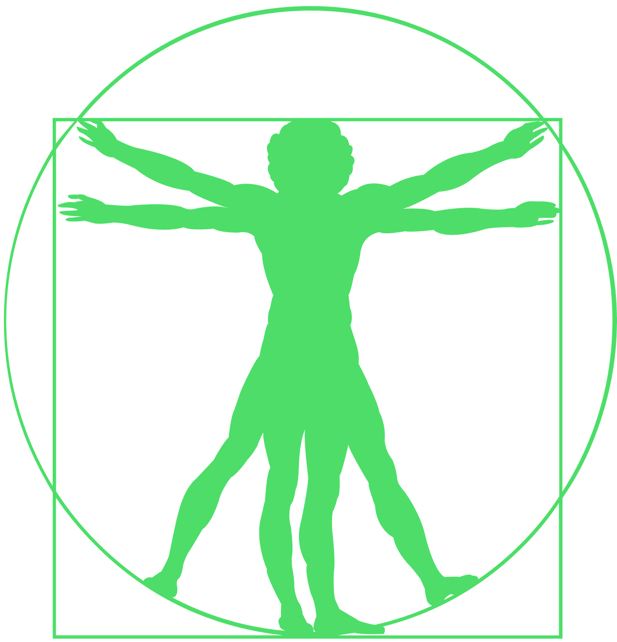 Vitruvian Man Vector Free At Vectorified.com | Collection Of Vitruvian ...