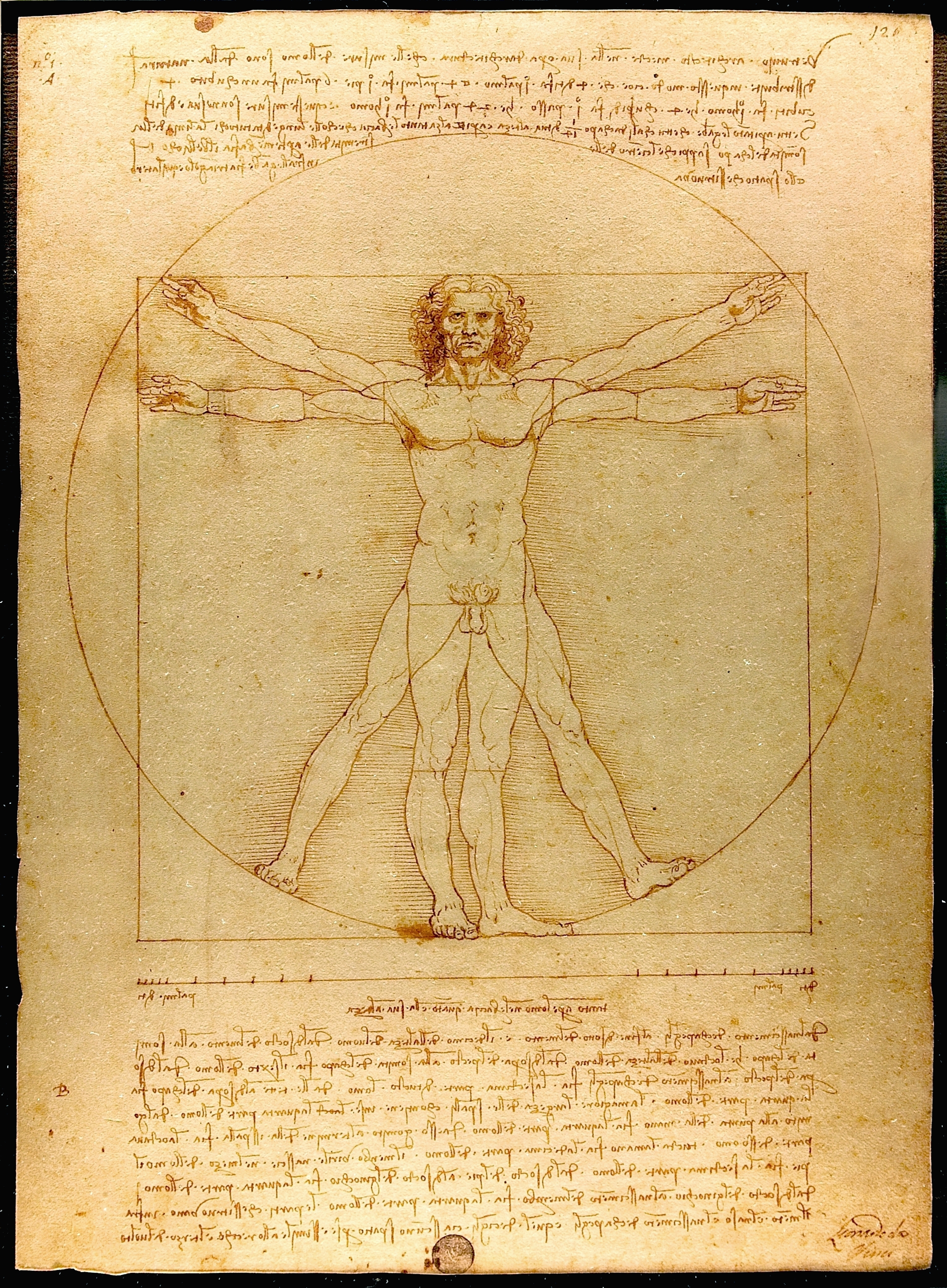 2258x3070 Vitruvian Man