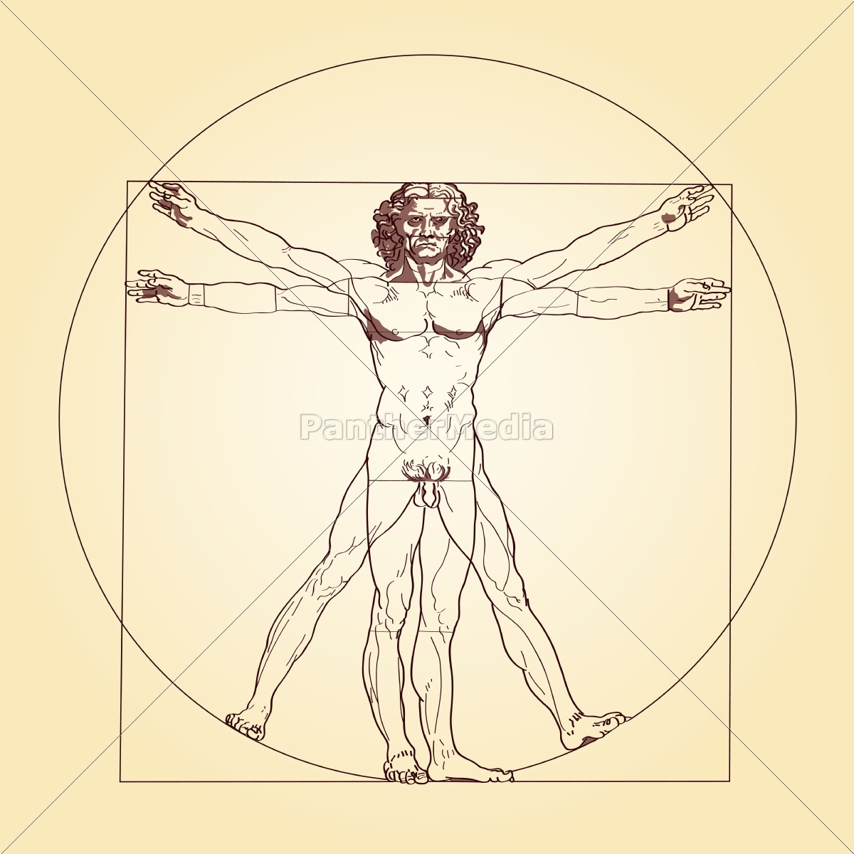 1200x1200 Vitruvian Man Leonardo Da Vinci