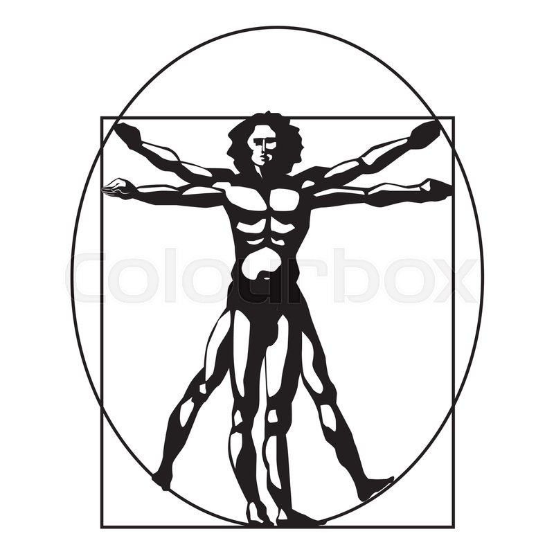 800x800 Vitruvian Man Png Images