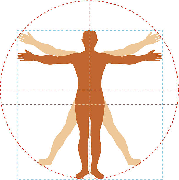 609x612 Vitruvian Man Silhouette Free Vector
