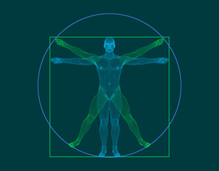 308x240 Vitruvian Man Vector Photos, Royalty Free Images, Graphics