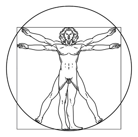 450x448 Vitruvian Man Royalty Free Vector Graphics