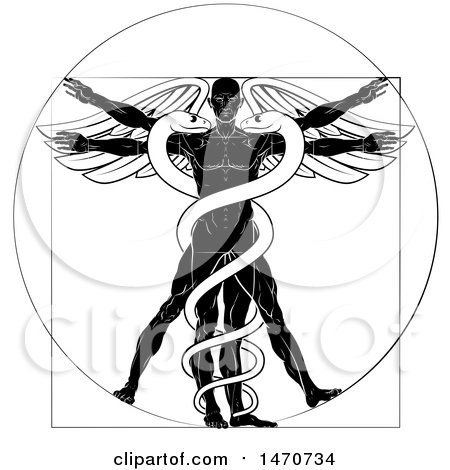 450x470 Clipart Sketched Vitruvian Man