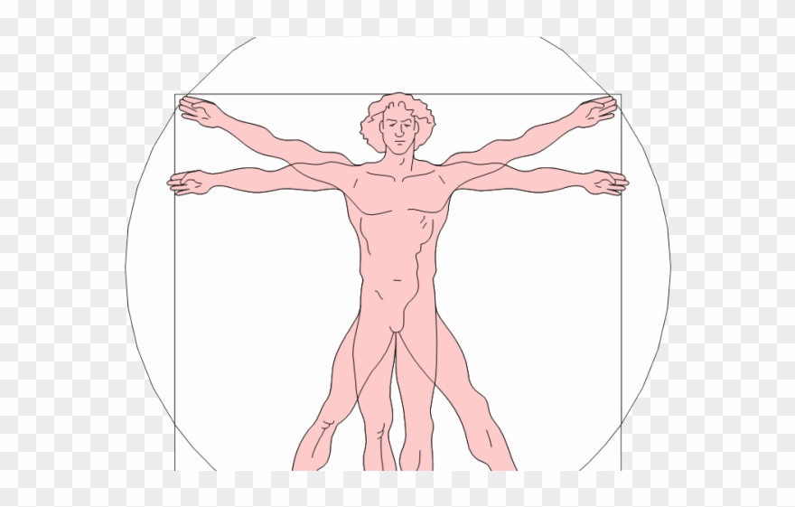 Renaissance Clipart Vitruvian Man 880x561 Renaissance Clipart Vitruvian Man