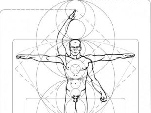 Vitruvian Man Free Vector Free Vectors Ui Download 310x233 Vitruvian Man Free Vector Free Vectors Ui Download