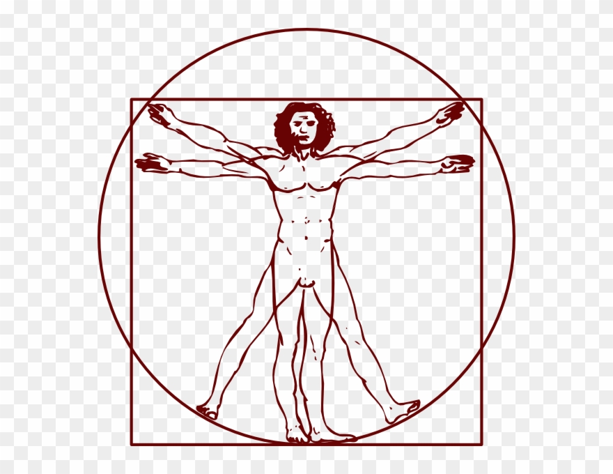 Vitruvian Man Clipart 880x680 Vitruvian Man Clipart